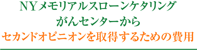 セカンドオピニオンを取得するための費用