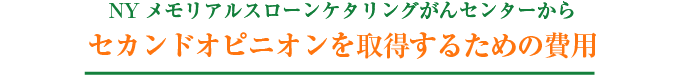 セカンドオピニオンを取得するための費用